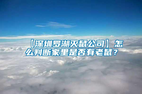 【深圳羅湖滅鼠公司】怎么判斷家里是否有老鼠？