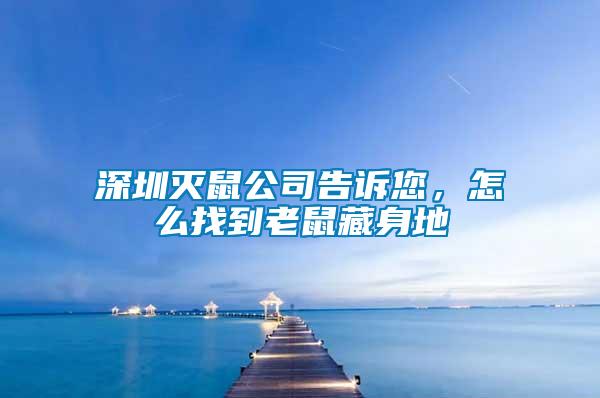 深圳滅鼠公司告訴您，怎么找到老鼠藏身地