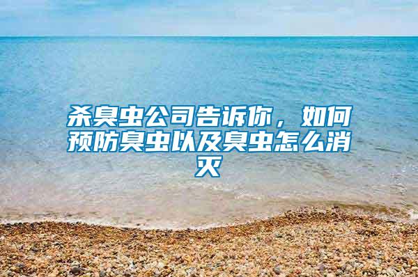 殺臭蟲公司告訴你，如何預(yù)防臭蟲以及臭蟲怎么消滅