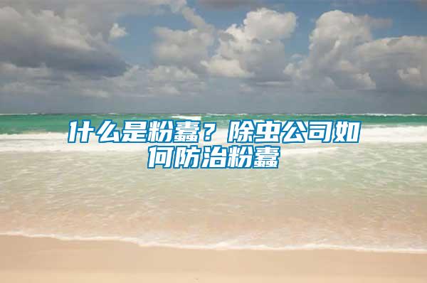 什么是粉蠹？除蟲公司如何防治粉蠹