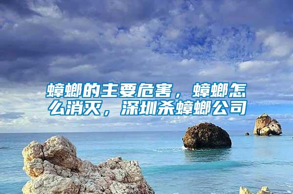 蟑螂的主要危害，蟑螂怎么消滅，深圳殺蟑螂公司