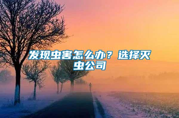 發(fā)現(xiàn)蟲害怎么辦？選擇滅蟲公司