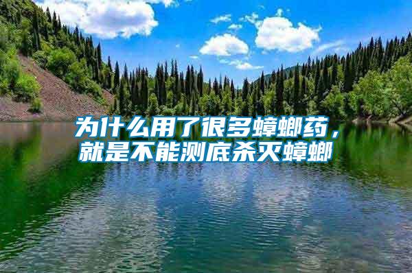 為什么用了很多蟑螂藥，就是不能測底殺滅蟑螂