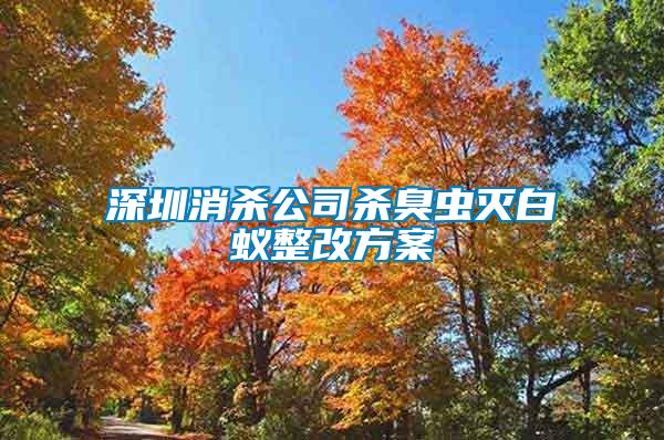 深圳消殺公司殺臭蟲(chóng)滅白蟻整改方案