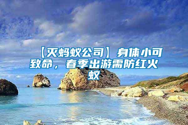 【滅螞蟻公司】身體小可致命，春季出游需防紅火蟻