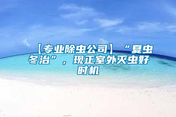 【專業(yè)除蟲公司】“夏蟲冬治”，現(xiàn)正室外滅蟲好時機