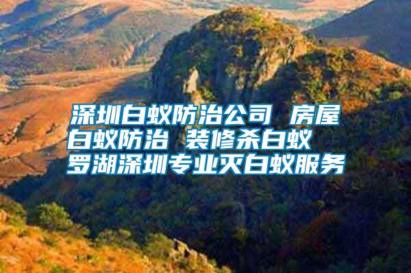 深圳白蟻防治公司 房屋白蟻防治 裝修殺白蟻  羅湖深圳專業(yè)滅白蟻服務