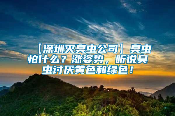 【深圳滅臭蟲公司】臭蟲怕什么？漲姿勢，聽說臭蟲討厭黃色和綠色！