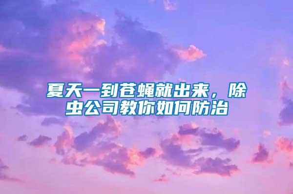 夏天一到蒼蠅就出來，除蟲公司教你如何防治