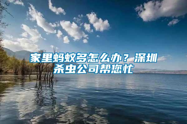 家里螞蟻多怎么辦？深圳殺蟲公司幫您忙