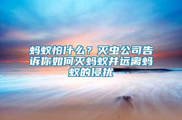 螞蟻怕什么？滅蟲公司告訴你如何滅螞蟻并遠(yuǎn)離螞蟻的侵?jǐn)_