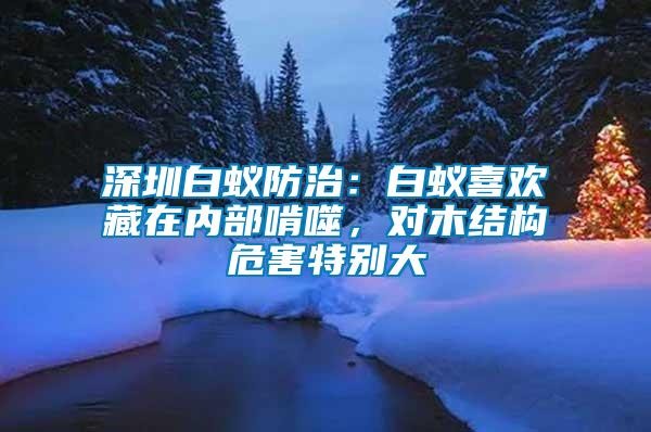 深圳白蟻防治：白蟻喜歡藏在內(nèi)部啃噬，對(duì)木結(jié)構(gòu)危害特別大