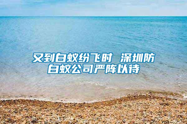 又到白蟻紛飛時(shí) 深圳防白蟻公司嚴(yán)陣以待