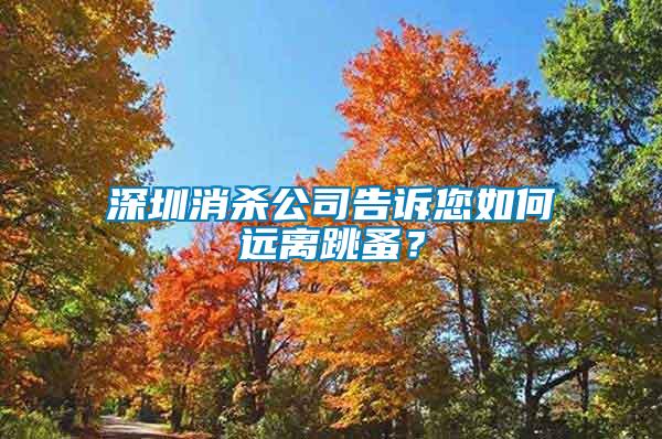 深圳消殺公司告訴您如何遠離跳蚤？