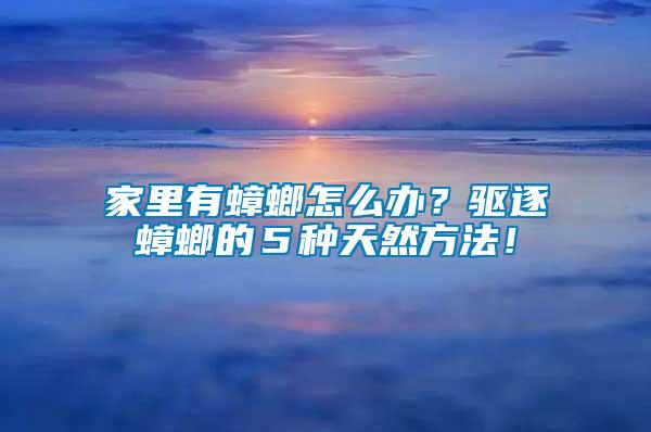 家里有蟑螂怎么辦？驅(qū)逐蟑螂的５種天然方法！