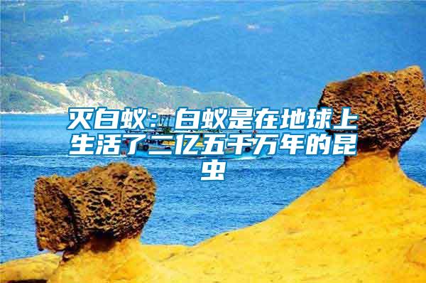 滅白蟻：白蟻是在地球上生活了二億五千萬年的昆蟲