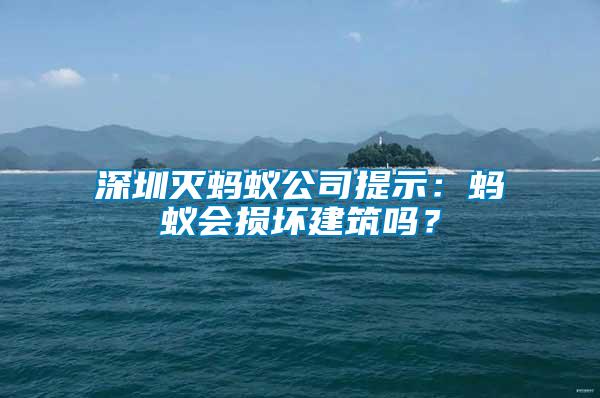 深圳滅螞蟻公司提示：螞蟻會損壞建筑嗎？