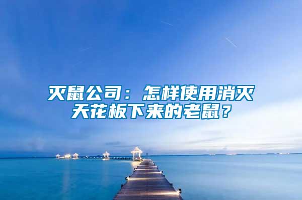 滅鼠公司：怎樣使用消滅天花板下來(lái)的老鼠？