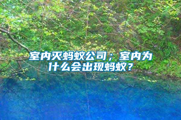 室內滅螞蟻公司；室內為什么會出現(xiàn)螞蟻？