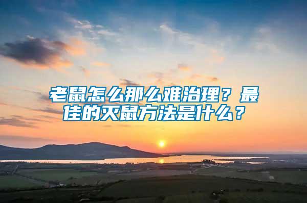 老鼠怎么那么難治理？最佳的滅鼠方法是什么？