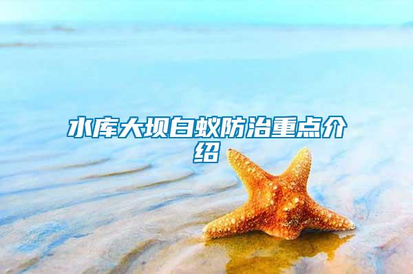 水庫大壩白蟻防治重點(diǎn)介紹