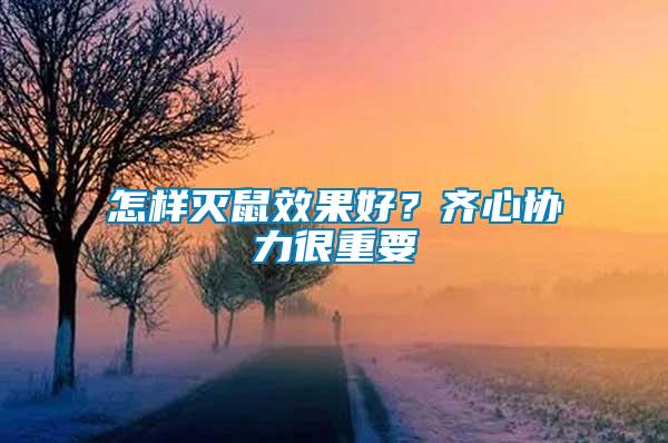 怎樣滅鼠效果好？齊心協(xié)力很重要