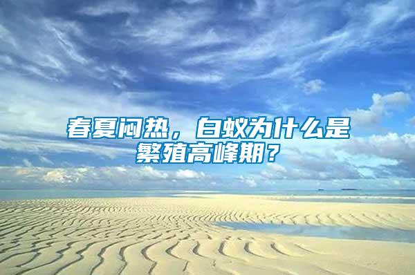 春夏悶熱，白蟻為什么是繁殖高峰期？