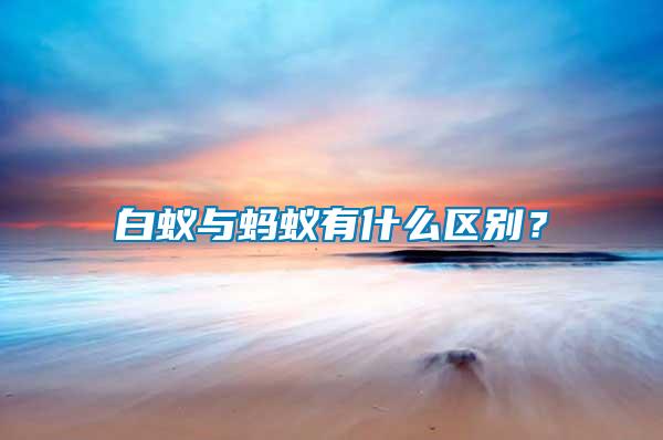 白蟻與螞蟻有什么區(qū)別？