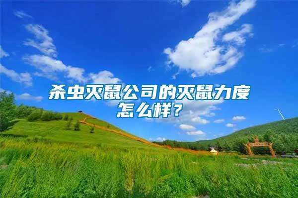 殺蟲滅鼠公司的滅鼠力度怎么樣？