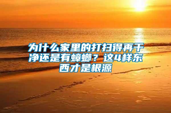 為什么家里的打掃得再干凈還是有蟑螂？這4樣東西才是根源