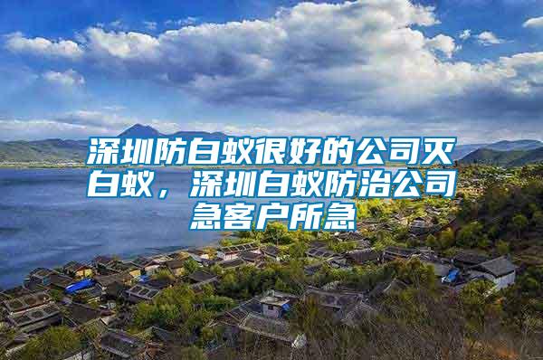 深圳防白蟻很好的公司滅白蟻，深圳白蟻防治公司急客戶所急