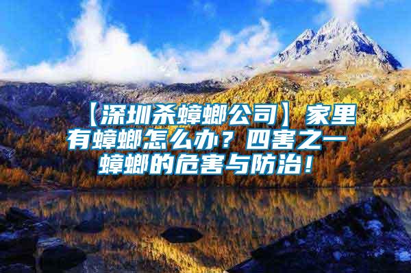 【深圳殺蟑螂公司】家里有蟑螂怎么辦？四害之一蟑螂的危害與防治！