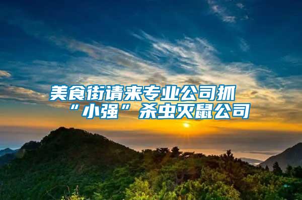 美食街請來專業(yè)公司抓“小強”殺蟲滅鼠公司