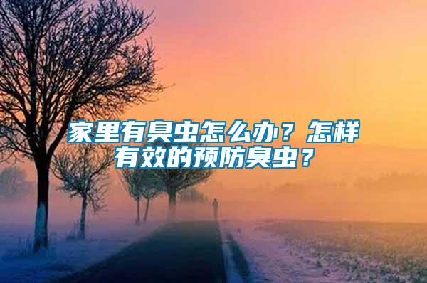 家里有臭蟲怎么辦？怎樣有效的預(yù)防臭蟲？