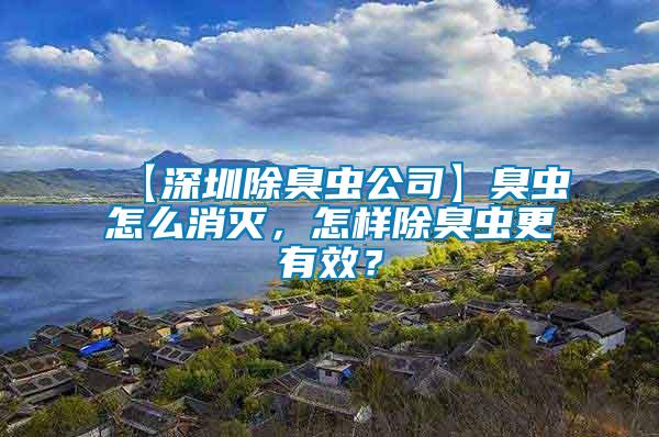 【深圳除臭蟲公司】臭蟲怎么消滅，怎樣除臭蟲更有效？