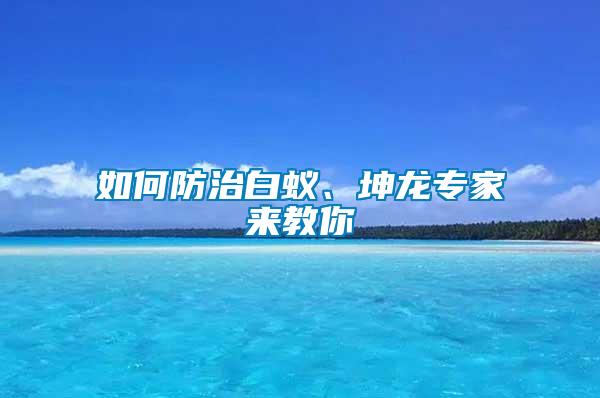 如何防治白蟻、坤龍專家來教你