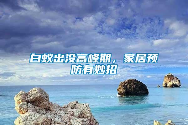 白蟻出沒高峰期，家居預防有妙招