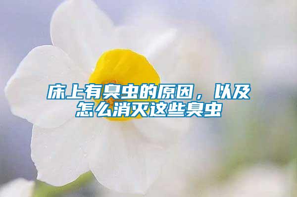 床上有臭蟲的原因，以及怎么消滅這些臭蟲