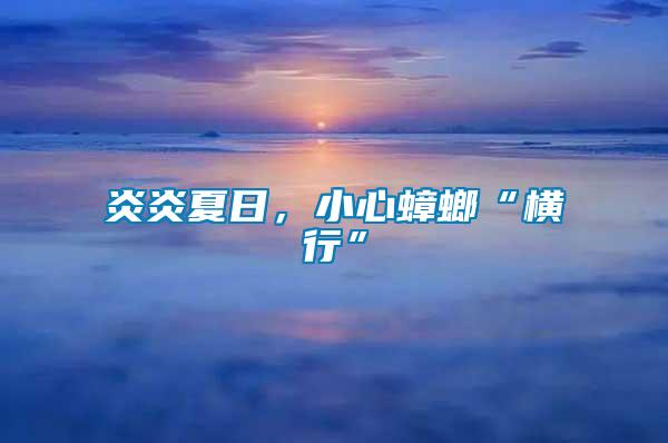 炎炎夏日，小心蟑螂“橫行”