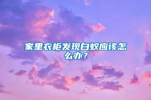 家里衣柜發(fā)現(xiàn)白蟻應該怎么辦？