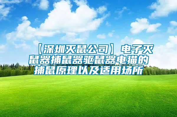 【深圳滅鼠公司】電子滅鼠器捕鼠器驅(qū)鼠器電貓的捕鼠原理以及適用場所