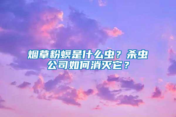 煙草粉螟是什么蟲？殺蟲公司如何消滅它？