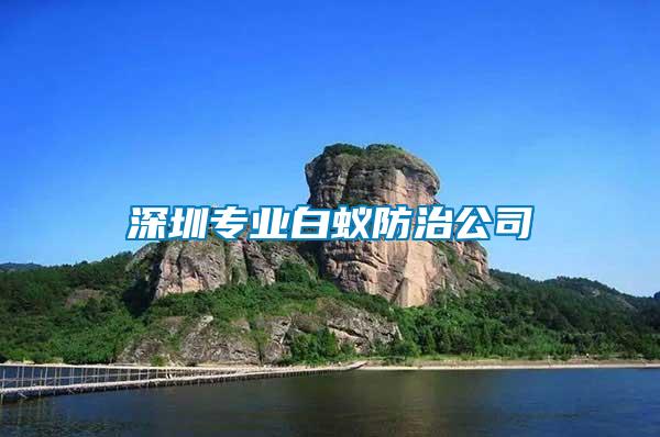 深圳專業(yè)白蟻防治公司