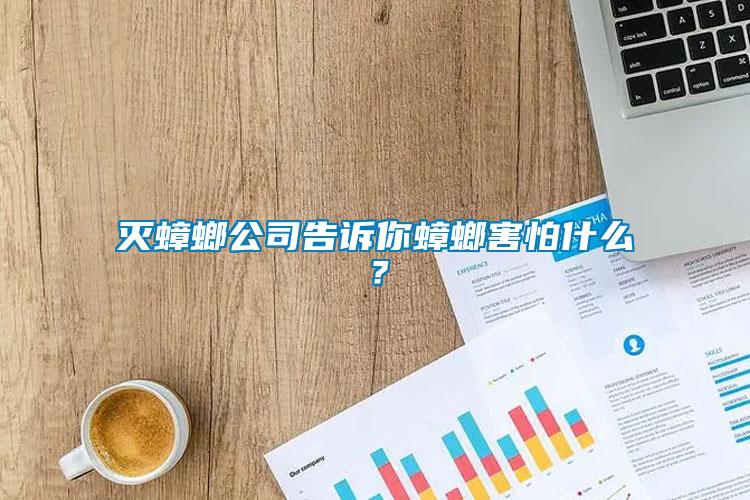 滅蟑螂公司告訴你蟑螂害怕什么？