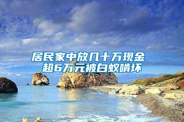 居民家中放幾十萬現(xiàn)金 超6萬元被白蟻啃壞