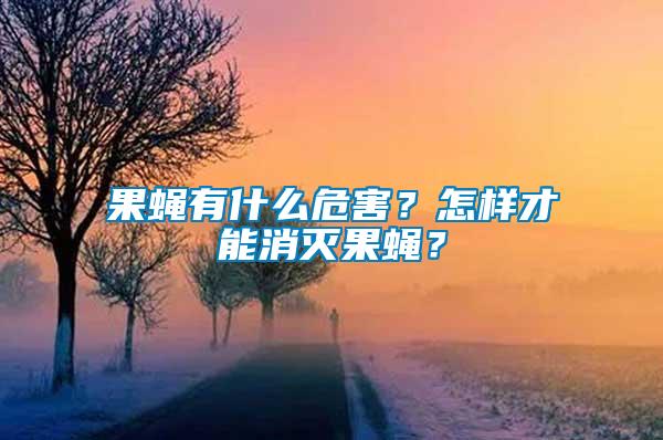 果蠅有什么危害？怎樣才能消滅果蠅？