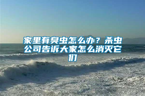 家里有臭蟲怎么辦？殺蟲公司告訴大家怎么消滅它們