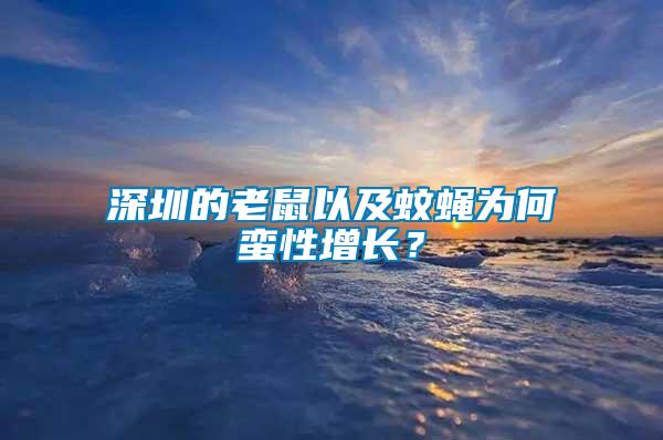 深圳的老鼠以及蚊蠅為何蠻性增長？