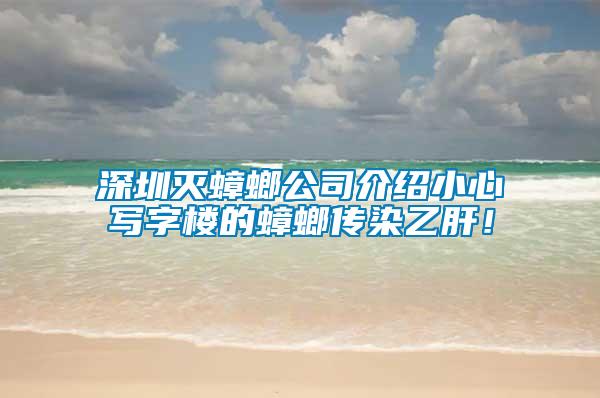 深圳滅蟑螂公司介紹小心寫字樓的蟑螂傳染乙肝！