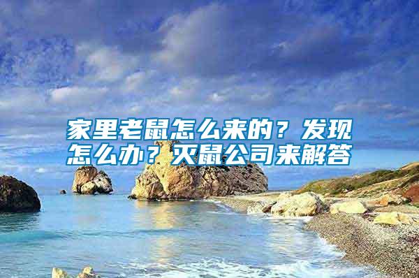 家里老鼠怎么來的？發(fā)現(xiàn)怎么辦？滅鼠公司來解答